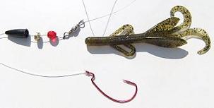 carolina rig