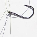 drop shot rigging, tying the fishing line to the hook drop shot rig, tie fishing line to the hook