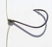 drop shot rigging - run the fishing line straight down through the eye of the hook drop shot rig, run tag end through eye of hook straight down