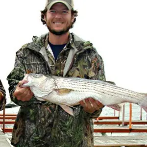 Fishing pictures of your prized catch. Submissions of freshwater or saltwater fish. This is YOUR braggin' board! Review, rate and comment on fishermen photographs.