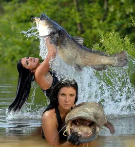 Have you been catfish noodling? Or wanting to understand what the hype is about with this crazy sport? Discover how to experience this okie style hand fishing technique to catch huge giant catfish.