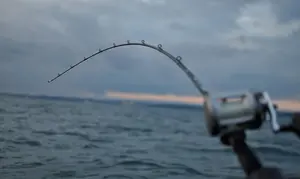 Trolling salmon fishing rod