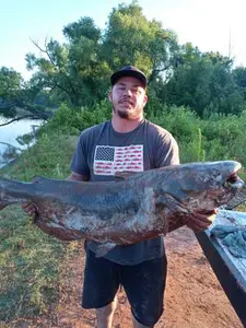 River Monster Caught in Silo, Oklahoma
