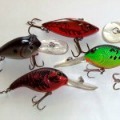 Crankbait Fishing Lures for Best Baits for Bass Crankbait Fishing Lures for Best Baits for Bass