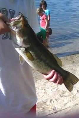 15 Inch New Hampshire Largemouth Bass