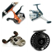 Different Types of Fishing Reels