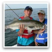Click Here for Striped Bass Pictures
