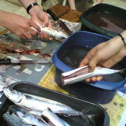 Click Here to Learn How To Clean Fish