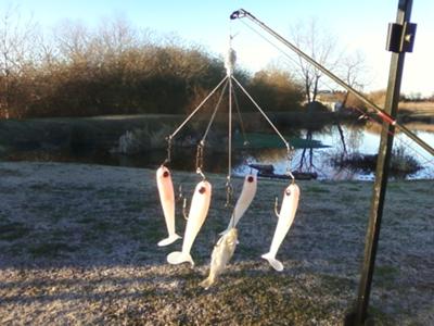 Alabama Rig - Also Known As The Umbrella Rig