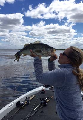 Frog Fishing On The California Delta
