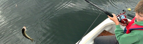 Kid catches bass with an Abu Garcia baitrunner fishing reel