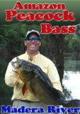 Peacock Bass Fishing Video