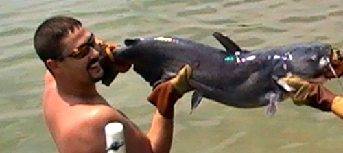 Best Time To Go Noodling For Catfish