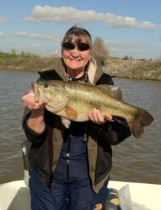 Biggest Fish In Bragging Rights Tournament Largemouth Bass on California Delta