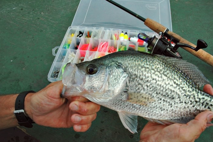 Crappie Fishing Lures