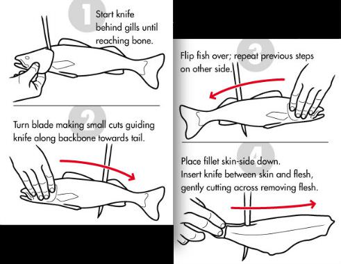 How To Fillet Fish - Filleting Fish Instructions