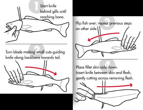 How to fillet a fish