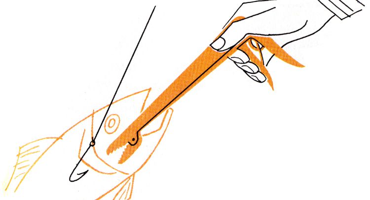 https://www.fishingloft.com/images/Fish_Hook_Removal_Drawing.jpg