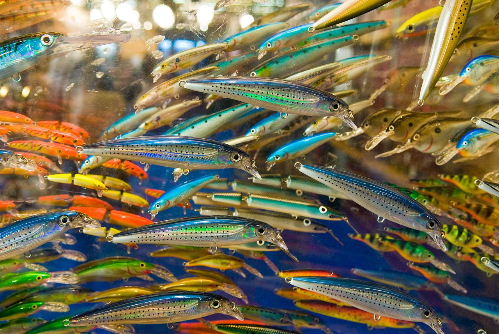 Freshwater Fishing Lures - Jerk Baits and Crankbaits