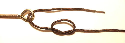 Overhand Knot and pass tag end through to begin Step 1 Rapala Knot