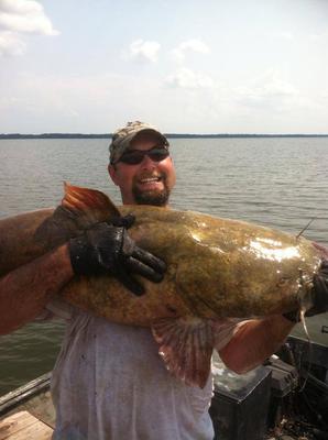 Huge catfish noodling Illinois guides