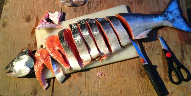 Chinook Salmon sliced up into steaks.