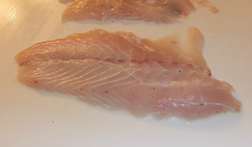 Curing Striped Bass Fillets