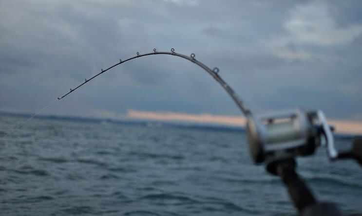 Choosing A Salmon Fishing Rod - And Best Rated Sellers