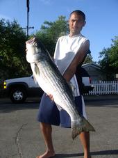 American River (Striper King)