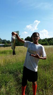 Arkansas Largemouth Bass Pond Fishing