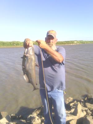 A Couple Big Texas Sized Catfish