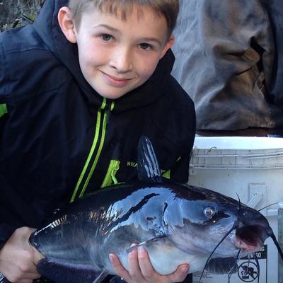 Suwannee River Catfish