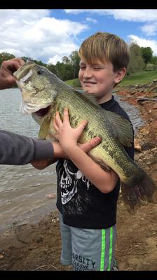 Brock's Largemouth Bass