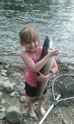 The Monster McKenzie River Steelhead
