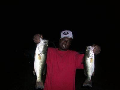 A Couple of Largemouth Bass by The Bassmaster