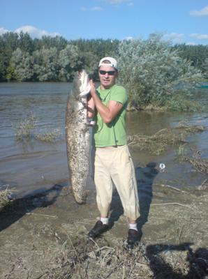 17 kg catfish caught on fly fishing tackle