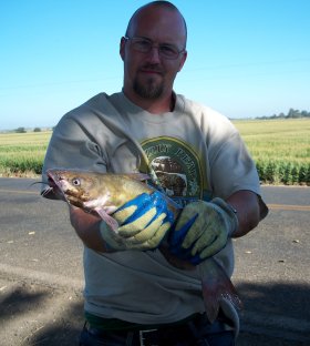 louisiana channel catfish fishing planet