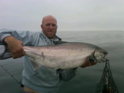 Sekiu, Washington - Wild Caught Chinook Salmon