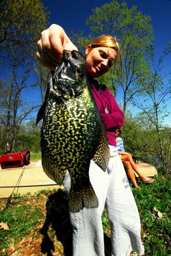 Crappie Fishing - How To Have The Best Time Catching Panfish