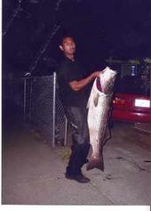 American River Striped Bass <br> California Delta Freshwater Fishing 