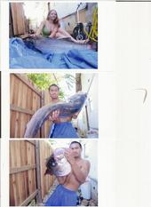 Striped Bass Fishing Pictures