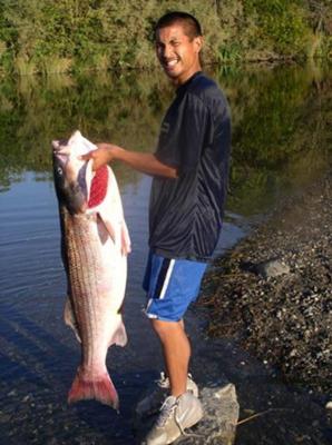 Big Time Striped Bass Fishing Picture