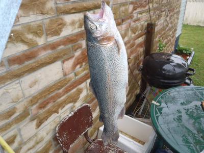 Dunlap Lake Rainbow Trout