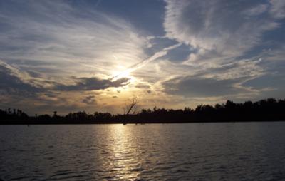 See beautiful sunrises.....