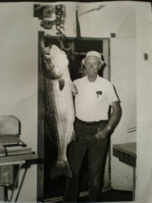 64 1/2 Pound Striped Bass