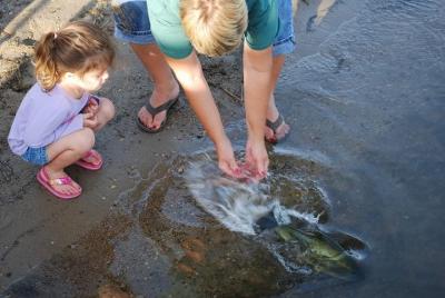 Releasing the Largemouth Bass