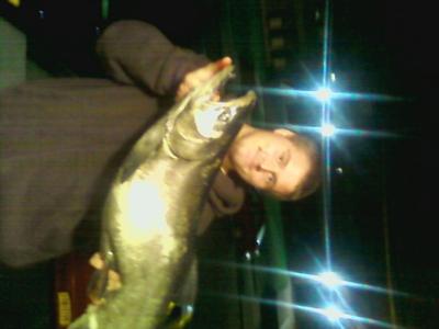 King Salmon - Olcott Beach, NY - 22 1/2 Pounds