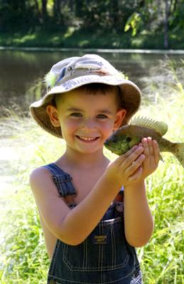 So proud of his fish! - Bluegill