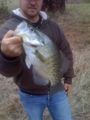 Monster White Crappie