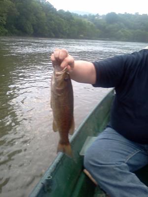 Another view of the big catch of the day